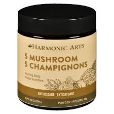POUDRE 5 CHAMPIGNONS CONCENTRÉ 45G