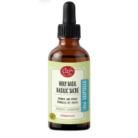 BASILIC SACRÉ TM 100ML