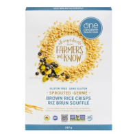 CER RIZ BRUN CROUST BIO 227G