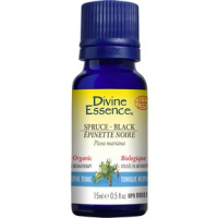 H.E. EPINETTE NOIRE BIO 15ML