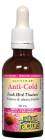 ECHINAMIDE TEINTURE 50ML