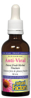 ECHINAM/ANTIVIR BIO 100ML