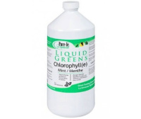 CHLOROPHYLLE MENTHE 1L
