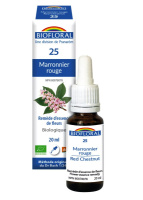 N25 MARRONIER ROUGE FLEURS 20ML