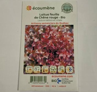 LAITUE FEUILLE CHÊNE ROUGE BIO