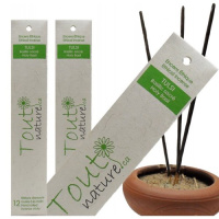 ENCENS TULSI 12 BATONS