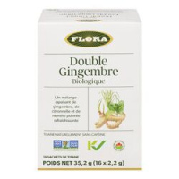 TISANE DOUBLE GINGEMBRE BIO 16S
