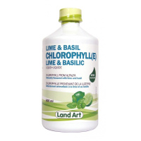 CHLOROPYLLE BASILIC-LIME 500ML
