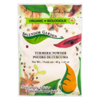 POUDRE DE CURCUMA BIO 40G