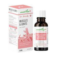 ANIMODEL MUSCLES & ARTICULATIONS 30ML