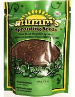 GRAINES À GERMER MOUTARDE BRUNE BIO 100GR