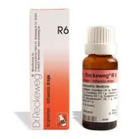 R6 22ML