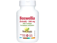 BOSWELLIA (EXTRAIT) 380MG 90CAPS