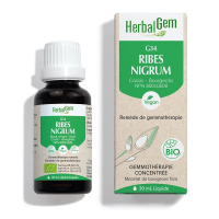 RIBES NIGRUM 30ML