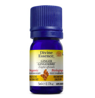 H.E. GINGEMBRE  BIO 5 ML