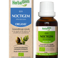 G11 NOCTIGEM 15ML