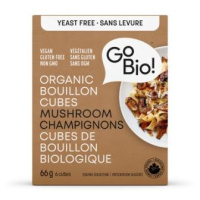 BOUILLON AUX CHAMPIGNONS BIO 66G