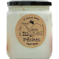 YOGOURT PECHE 500G