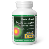 MULTI ENZYMES HAUTE TENEUR 120 VÉGÉCAPS