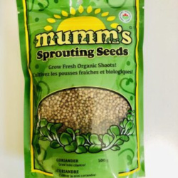 GRAINES À GERMER CORIANDRE BIO 30GR