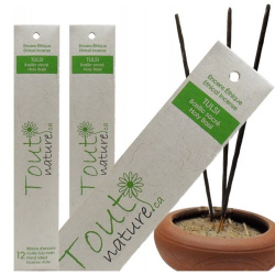 ENCENS VANILLE 12 BATONS
