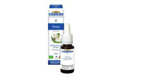NO6 PRUNUS FLEURS 20ML