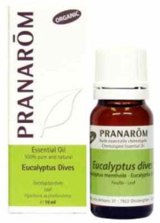H.E. EUCALYPTUS MENTHOLÉ 10ML