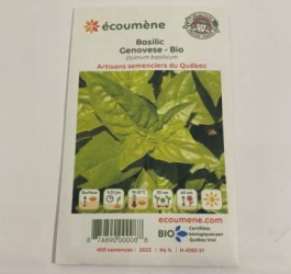 BASILIC GENOVESE BIO