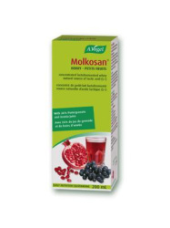 MOLKOSAN FRUITS 200ML