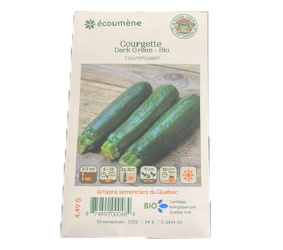 COURGETTE DARK GREEN BIO