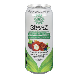 BOISSON THE VERT FRUITS 473ML