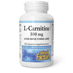 L-CARNITINE 500MG 60C