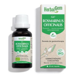 ROSMARINUS OFFICINALIS 30ML