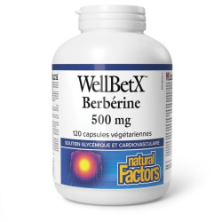 BERBERINE 500MG 120CAPS