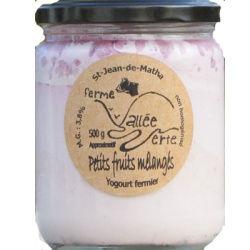 YOGOURT PETITS FRUITS 500G