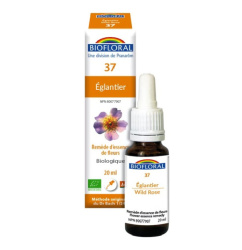 N37 ÉGLANTIER FLEURS 20ML