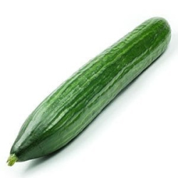 CONCOMBRE ANGLAIS SERRE
