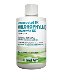 CHLORO CONCENTRE 500ML