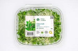 POUSSES CHOU KALE 80G