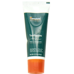 DENTIFRICE FORMAT VOYAGE 21G