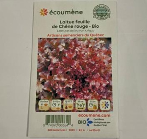 LAITUE FEUILLE CHÊNE ROUGE BIO
