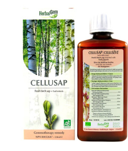 CELLUSÈVE 250ML