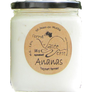 YOGOURT ANANAS 500G