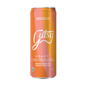 KOMBUCHA  ADAPT OR.CURCU. 355ML