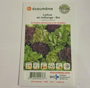 LAITUE EN MELANGE BIO