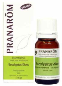 H.E. EUCALYPTUS MENTHOLÉ 10ML
